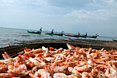 Shrimps and fishing boats in the harbour of Kep, Kep province, Gulf of Thailand, Cambodia, Asia