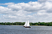 Sailing boats on the Havel river, lake Kleiner Zernsee, Werder Havel, Land Brandenburg, Germany, Europe
