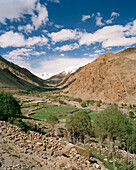 Terrace fields and farm houses above convent Thagchockling at village Ney, west of Leh, Ladakh, Jammu and Kashmir, India
