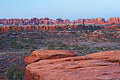 The Needles, Canyonlands National Park, Utah, USA, Amerika