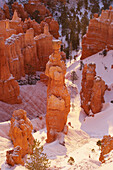 Blick vom Sunset Point in das Bryce Amphitheater, Bryce Canyon National Park, Utah, USA, Amerika