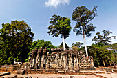 Elefantenteresse des Königspalastes, Angkor Thom, Angkor Wat, UNESCO Weltkulturerbe, Angkor, Kambodscha