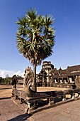 Geländer mit Nagas vor dem Angkor Wat Tempel,  UNESCO Weltkulturerbe, Angkor, Kambodscha
