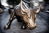 The bull of Wall Street, Wall Street, Downtown, Manhattan, New York City, New York, USA