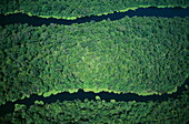 Luftaufnahme vom Regenwald, Tortuguero Nationalpark, Costa Rica, Zentralamerika, Amerika