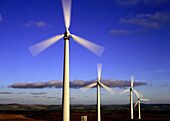 Wind turbines in the evening light, Llandinam, Powys, Wales, Great Britain, Europe