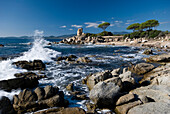 Kiefern an der Küste unter blauem Himmel, Porto Pirastu Bucht, Kap Ferrato, Tyrrhenisches Meer, Sardinien, Italien, Europa