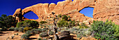 North and South windows under blue sky, Arches National Park, Utah, USA, America