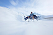 Woman sledding, Kuehtai, Tyrol, Austria