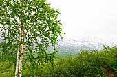 Mountains surrounding the Weljutschinsky volcano, Kamtschatka, Russia