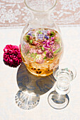 Liqueur with wild blossoms and herbs, herbage, garden, homemade