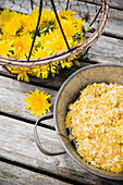 Common dandelion flowers in a bucket, dried flowers, Homemade, Bavaria, Germany