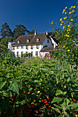 Houses at Merian Park, Brueglingen, Basel, Switzerland, Europe