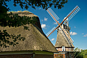 Reetdachhaus und Windmühle in Wrixum, Föhr, Nordfriesland, Schleswig-Holstein, Deutschland, Europa