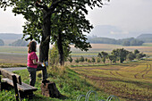 Bank bei Rathewalde mit Blick zum Lilienstein, Sächsische Schweiz, Sachsen, Deutschland, Europa