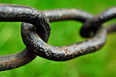 Chain links, Can Solei i Ca l´Arnús park, Badalona, Barcelona province, Catalonia, Spain