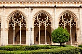 Monastery of Santes Creus - Reial Monasteri de Santes Creus -, Ruta del Cister, Santes Creus, Alt Camp, Tarragona, Spain