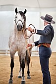 Winner of the Morphological competition of Pure Spanish Horse, Equus Fair 2011, Girona, Spain