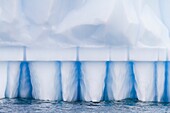 Iceberg detail in and around the Antarctic Peninsula during the summer months, Southern Ocean. Iceberg detail in and around the Antarctic Peninsula during the summer months, Southern Ocean  MORE INFO An increasing number of icebergs are being created as c