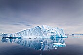Iceberg in the Weddell Sea on the eastern side of the Antarctic Peninsula during the summer months, Southern Ocean. Iceberg in the Weddell Sea on the eastern side of the Antarctic Peninsula during the summer months, Southern Ocean  MORE INFO An increasing