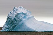 Iceberg on the western side of the Antarctic Peninsula during the summer months, Southern Ocean. Iceberg on the western side of the Antarctic Peninsula during the summer months, Southern Ocean  MORE INFO An increasing number of icebergs are being created 