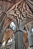 New Cathedral Catedral Nueva, Salamanca, Castile and Leon, Spain