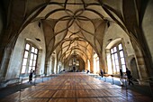 Vladislav Hall in the Hradcany Castle, Prague, Czech Republic