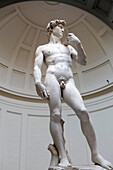 Statue of David by Michelangelo at Accademia Gallery Museum, Florence, Italy