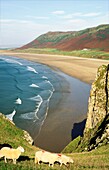 Rhossili Beach on Rhossili Bay on the Gower Peninsula, West Glamorgan, near Swansea in south Wales, UK