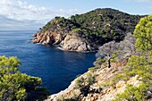 Cala Bona, Tossa de Mar, Costa Brava, Catalonia, Spain, Europe