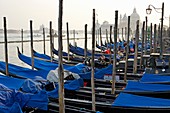Santa Maria della Salute and gondolas, Venice, Italy