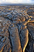 Cooled pahoehoe lava flow, Kilauea Volcano, Big Island, Hawaii Islands, Usa