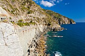 A walking trail from Riomaggiore to Manarola called the Via Dell´Amore ´Love Walk´part a trial Sentiero Azzurro ´Light Blue Trail´, connects the five villages, Cinque Terre National Park, Province of La Spezia, Liguria, Italy, Europe