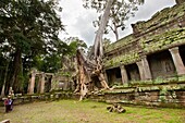 Preah KhanPrah Khan, Sacred Sword, is a temple at Angkor, Cambodia, built in the 12th century for King Jayavarman VII, It is located northeast of Angkor Thom, Angkor, UNESCO World Heritage Site, Cambodia, Indochina, Southeast Asia, Asia