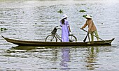 Woman in conical hat paddlling woman in ao dai with bicycle in ferry boat across Mekong Delta river Vietnam