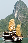 Tourist cruise junk Halong Bay Vietnam
