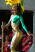 Rio carnival parade Rio de Janeiro Brazil