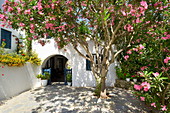 Mykonos Town, Mykonos, Cyklades, Greece