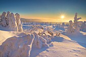 Szrenica in winter, Karkonosze National Park, Poland, Europe