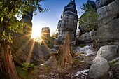 Szczeliniec Maly - Table National Park, Poland, Europe