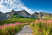 Gasienicowa Valley, Tatra National Park, Poland, Europe