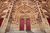 Doors of the Cathedral of Salamanca, Spain