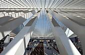 Detail of the roof, the station concourse, Gare de Liège-Guillemins railway station, Liege, Wallonia, Belgium, Europe