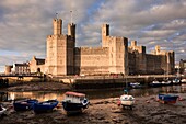 Caernarfon, Gwynedd, North Wales, UK, Britain, Europe  View of Edward 1st 13th century castle across Afon Seiont River estuary at low tide in the evening