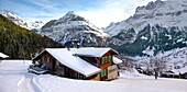 Swiss chalet on the Busalp toboggan slopes - near Grindelwald - Swiss Alps - Switzerland