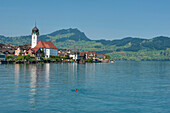 Beckenried mit Vierwaldstättersee, Beckenried, Nidwalden, Schweiz, Europa