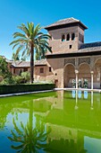 SPAIN - ANDALUSIA - GRENADA - PALACE OF THE ALHAMBRA - POND OF THE GARDENS AND LADIE' S TOWER