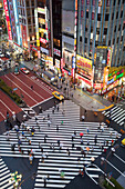 Japan, Tokyo City, Shinjuku District, Shinjuku Avenue