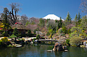 Japan, Oshino City, Traditional architecture, mount Fuji