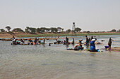 Western Africa, Mauritania, Sénégal river valley, Sénégal river to Gory near Kaedi